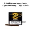 xi ga mini hcm