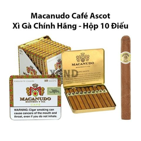 Cigar Macanudo Café Ascot - Xì Gà Chính Hãng - Hộp 10 Điếu