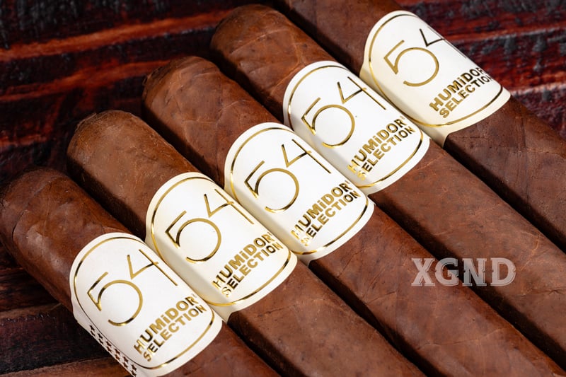 Cigar Humidor Selection 54 - Xì Gà Honduras Chính Hãng