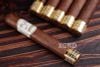 Cigar Humidor Selection 54 - Xì Gà Honduras Chính Hãng