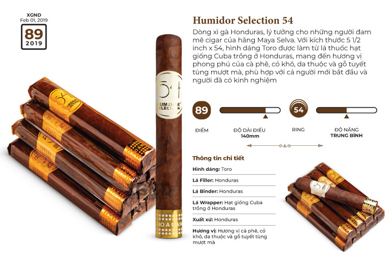 Cigar Humidor Selection 54 - Xì Gà Honduras Chính Hãng