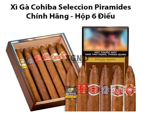 Cigar Cuba Cohiba Seleccion Piramides - Hộp 6 Điếu Xì Gà Cuba Chính Hãng