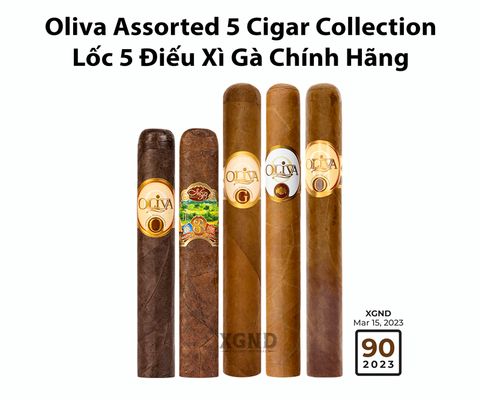 Cigar Oliva Assorted 5 Cigar Collection - Lốc 5 Điếu Xì Gà Chính Hãng