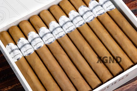Cigar Macanudo Inspirado White Toro - Xì Gà Chính Hãng