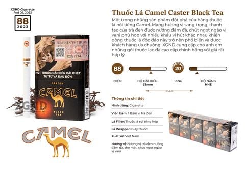 Thuốc Lá Camel Caster Black Tea - Thuốc Lá Bấm Vị Trà Đen