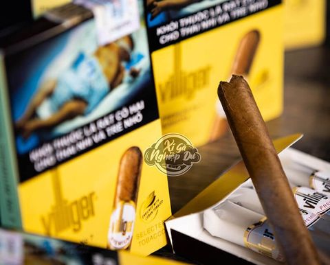 Cigar Villiger Premium No 7 Sumatra - Xì Gà Mini Chính Hãng