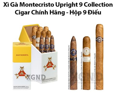 Cigar Montecristo Upright Collection - Xì Gà Chính Hãng