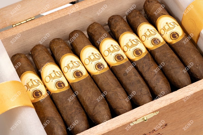 Cigar Oliva Serie G Special G - Xì Gà Chính Hãng