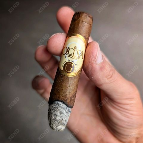 Cigar Oliva Serie G Special G - Xì Gà Chính Hãng