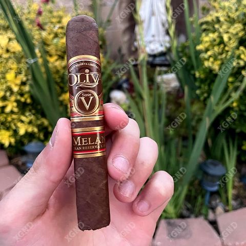Cigar Oliva Serie V Melanio Petite Corona No 4 - Xì Gà Chính Hãng