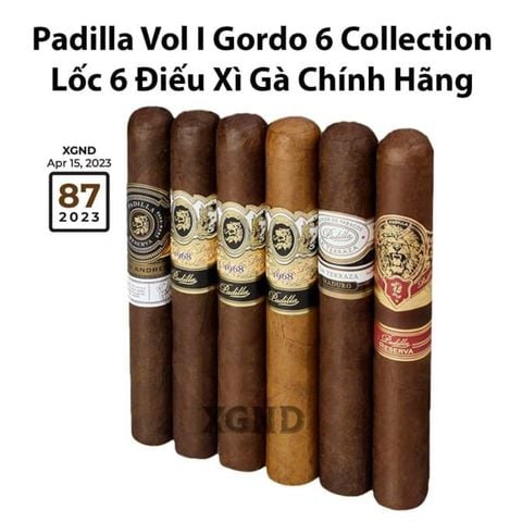 Cigar Padilla Vol I Gordo 6 Collection - Lốc 6 Điếu Xì Gà Chính Hãng