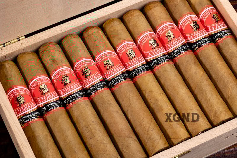 Cigar Padilla La Terraza Capa-Connecticut Serie 2010 - Xì Gà Chính Hãng