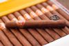 xi ga Cuba Partagas hcm