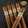 xi ga Romeo Y Julieta