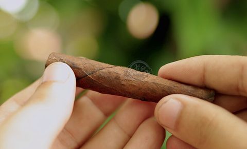 Cigar Mini Toscano Toscanello Rosso Caffe Cappuccino - Xì Gà Sữa Ý Chính Hãng