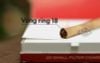 Cigar mini Villiger gia re