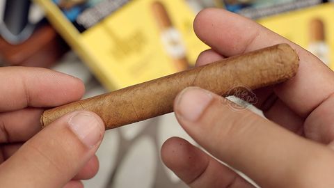 Cigar Villiger Premium No 7 Sumatra - Xì Gà Mini Chính Hãng