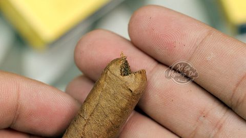 Cigar Villiger Premium No 1 Sumatra - Xì Gà Mini Chính Hãng