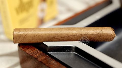 Cigar Villiger Premium No 7 Sumatra - Xì Gà Mini Chính Hãng