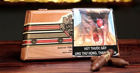 Cigar Ashton VSG Enchantment - Xì Gà Dominica Chính Hãng