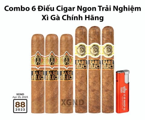 Combo 6 Điếu Cigar Ngon Trải Nghiệm Chính Hãng