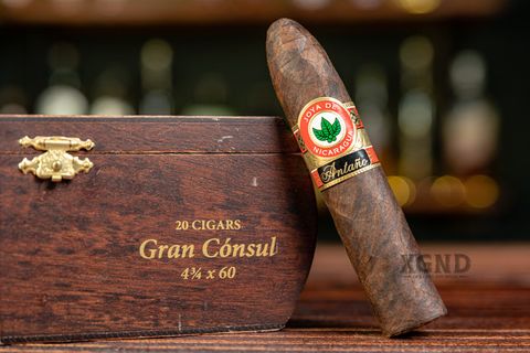 Cigar Joya De Nicaragua Antano 1970 Gran Consul - Xì Gà Chính Hãng