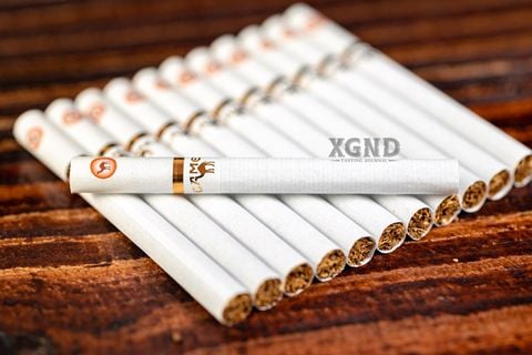 Thuốc Lá Camel Caster Black Tea - Thuốc Lá Bấm Vị Trà Đen