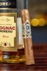 Cigar CAO Gold Robusto - Xì Gà Chính Hãng