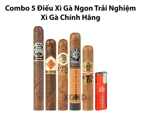 Combo 5 Điếu Cigar Ngon Trải Nghiệm Chính Hãng