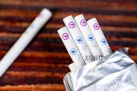 Thuốc Lá Camel Fresh Berry - Camel Lạc Đà Hai Bấm