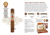 Cigar Ashton Symmetry Robusto - Xì Gà Chính Hãng