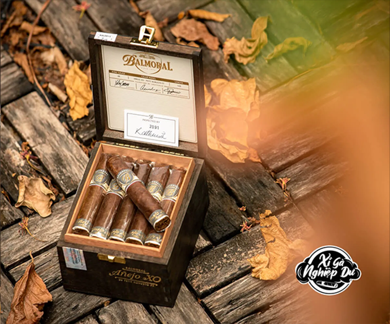 Cigar Balmoral Anẽjo XO Petit Robusto - Xì Gà Dominica Chính Hãng