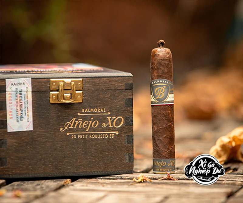 Cigar Balmoral Anẽjo XO Petit Robusto - Xì Gà Dominica Chính Hãng