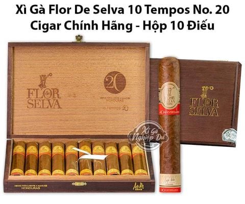 Cigar Flor De Selva No 20 Tempos - Xì Gà Chính Hãng