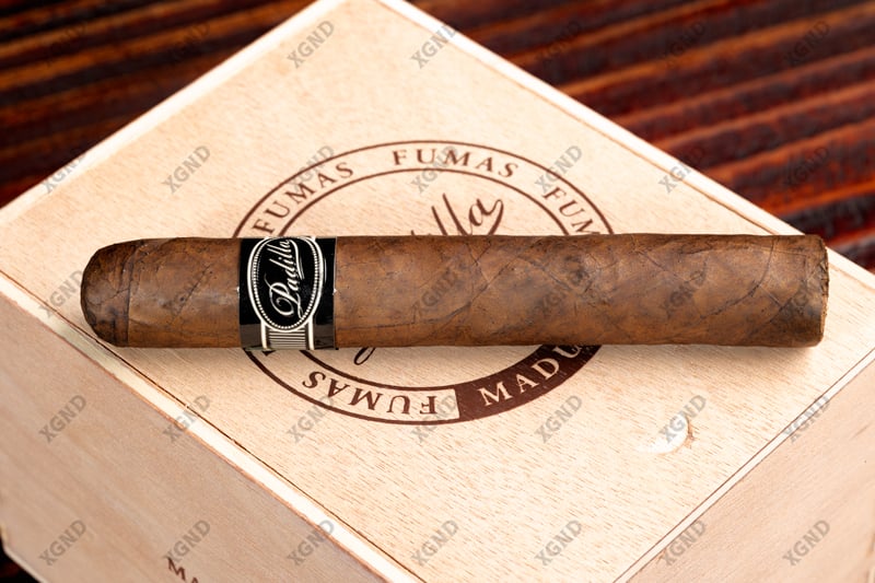 Cigar Padilla Fumas Maduro Robusto - Xì Gà Chính Hãng