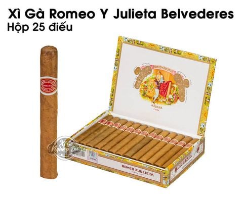 Cigar Romeo Y Julieta Belvederes - Xì Gà Cuba Chính Hãng