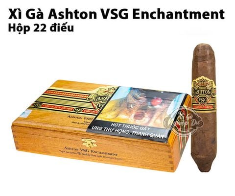 Cigar Ashton VSG Enchantment - Xì Gà Dominica Chính Hãng