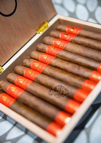 Cigar August 56 Honduras - Xì Gà Chính Hãng