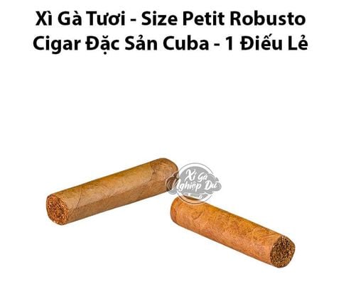 Cigar Tươi Size Petit Robusto - Xì Gà Đặc Sản Cuba