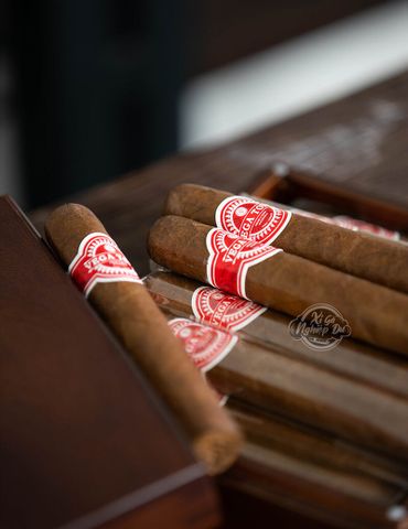 Cigar Vega Toro 60 - Xì Gà Nicaragua Chính Hãng