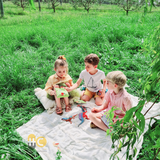  Táo và Ổi dứa sấy lạnh NaturKidz 10g Nhập khẩu chính hãng New Zealand 