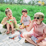  Táo và Ổi dứa sấy lạnh NaturKidz 10g Nhập khẩu chính hãng New Zealand 