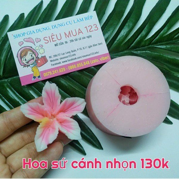 Khuôn silicon làm rau câu hoa sứ cánh nhọn 5,5cm ( SM1351 )