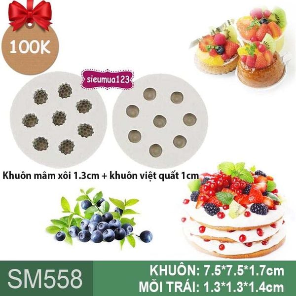 Khuôn quả mâm xôi và khuôn trái việt quất ( SM558 )