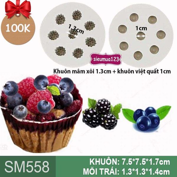 Khuôn quả mâm xôi và khuôn trái việt quất ( SM558 )