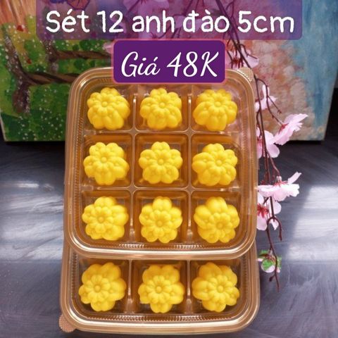 Sét 12 khuôn silicon hoa anh đào thái 5cm ( SM1899 )