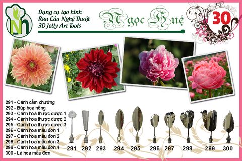 Bộ 10 Kim 3d Số 30 ( chính hãng Ngọc Huệ )