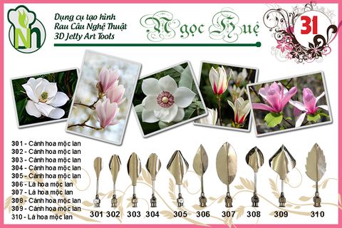 Bộ 10 Kim 3d Số 31 ( chính hãng Ngọc Huệ )