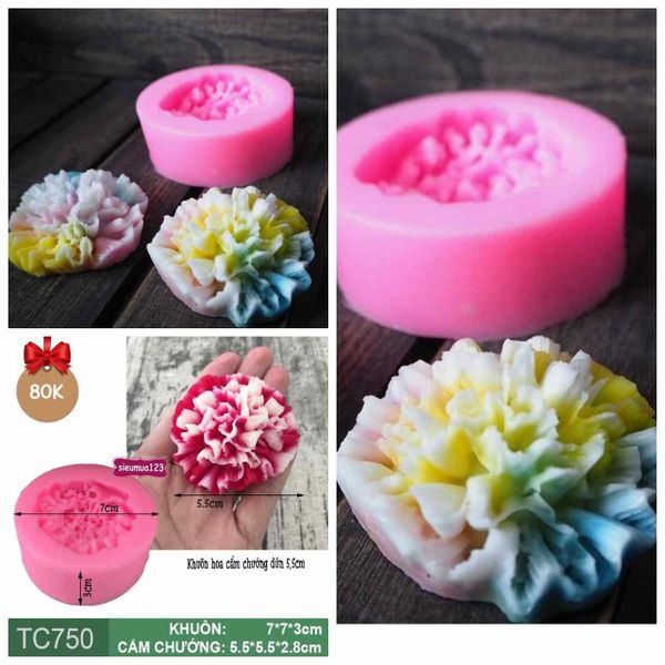 Khuôn silicon rau câu hoa cẩm chướng dún 5,5cm ( TC750 )