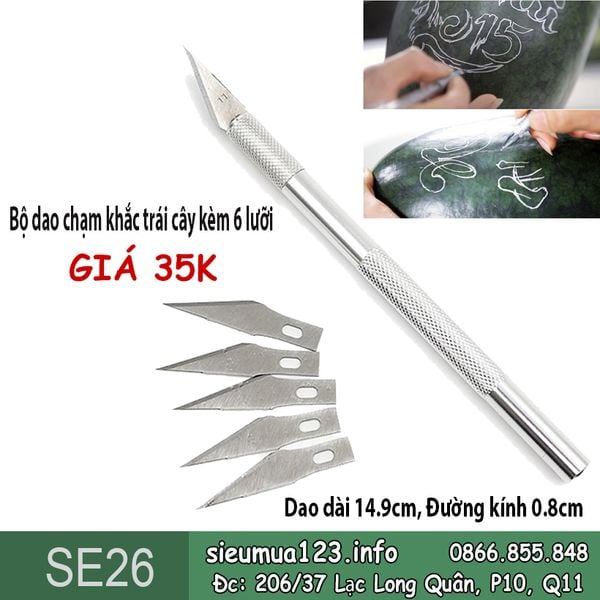Bộ dao chạm khắc trái cây kèm 6 lưỡi ( SE26 )